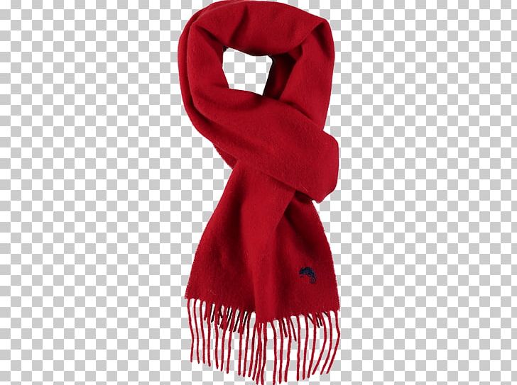 Scarf T-shirt Shawl Cashmere Wool Kerchief PNG, Clipart, Cap, Cashmere Wool, Clothing, Hat, Kerchief Free PNG Download