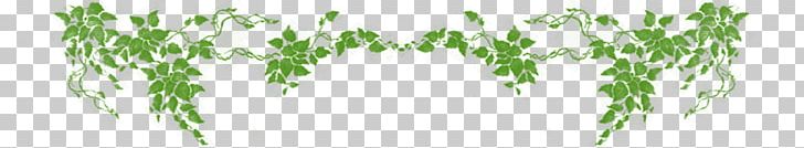 Vine-Ingle Little League Tropical Rainforest PNG, Clipart, Branch, Commodity, Computer Icons, Flower, Grass Free PNG Download
