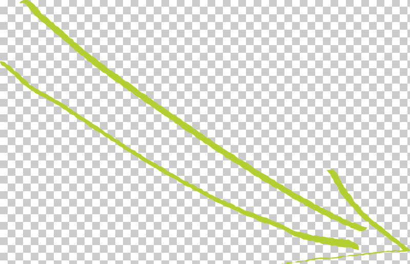 Hand Drawn Arrow PNG, Clipart, Grass Family, Green, Hand Drawn Arrow, Leaf, Line Free PNG Download