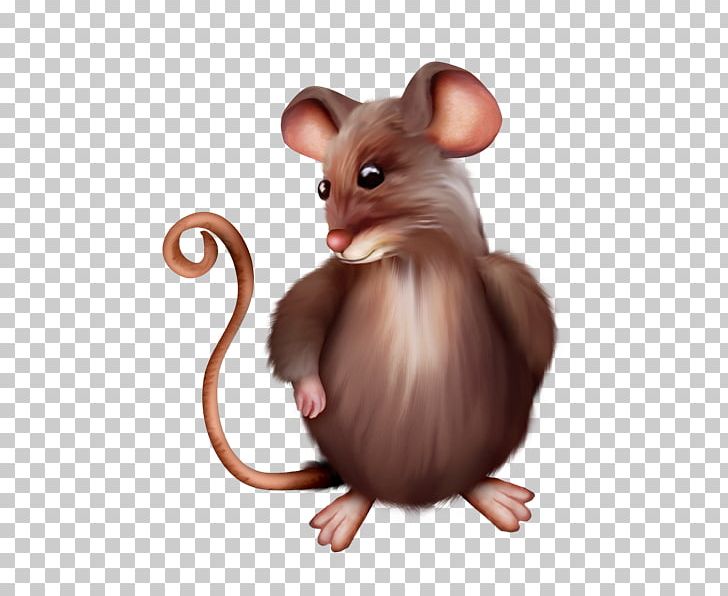Computer Mouse Rat PNG, Clipart, Art, Background Material, Computer, Computer Mouse, Drawing Flowers Free PNG Download