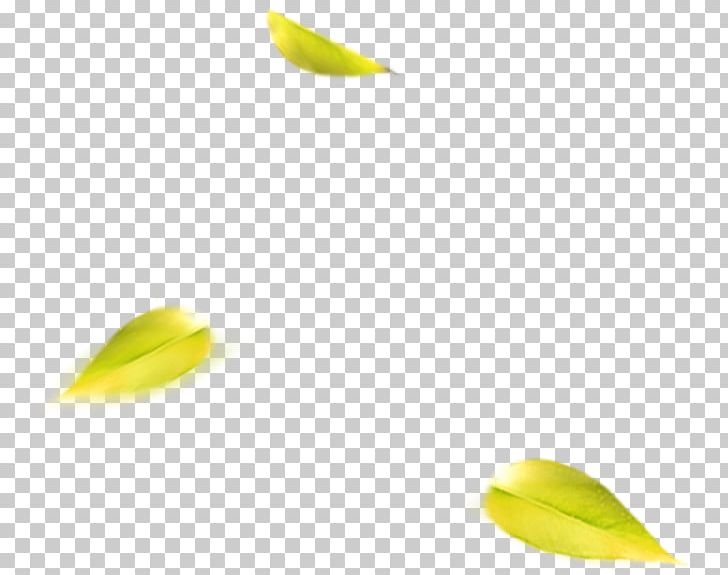Material Yellow PNG, Clipart, Background Green, Computer, Computer Wallpaper, Fall Leaves, Floating Free PNG Download