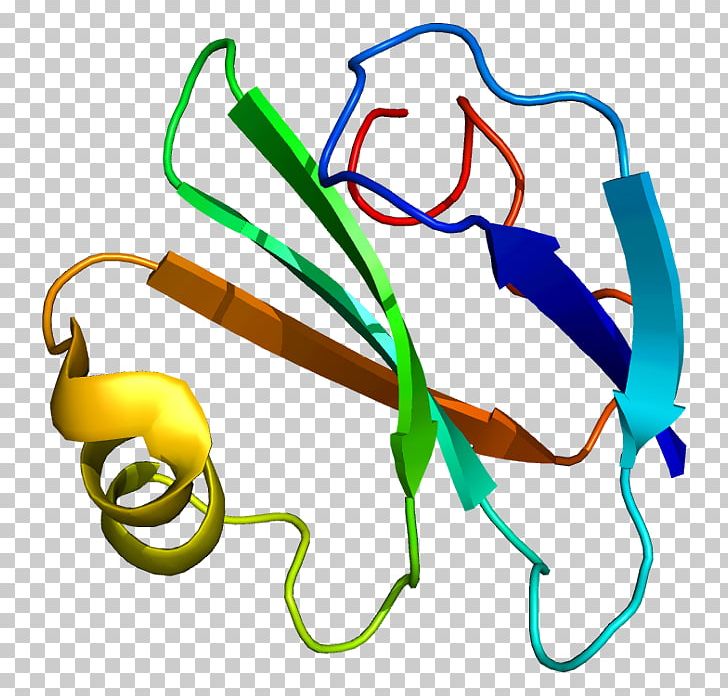 CD59 Complement System Protein Decay-accelerating Factor Glycosylphosphatidylinositol PNG, Clipart, Cd59, Cell, Complement Component 9, Complement System, Decayaccelerating Factor Free PNG Download