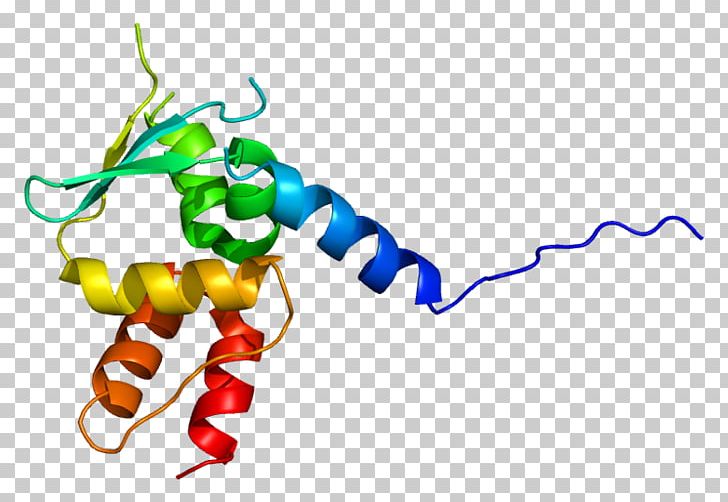 Giant Axonal Neuropathy (gigaxonin) Protein Chromosome 16 Gene PNG, Clipart, Area, Artwork, Chromosome 16, Cytoskeleton, Desmin Free PNG Download