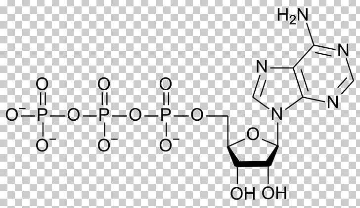 Guanosine Triphosphate Adenosine Triphosphate Nucleotide Adenine Adenosine Diphosphate PNG, Clipart, Adenosine Monophosphate, Adenosine Triphosphate, Angle, Area, Auto Part Free PNG Download