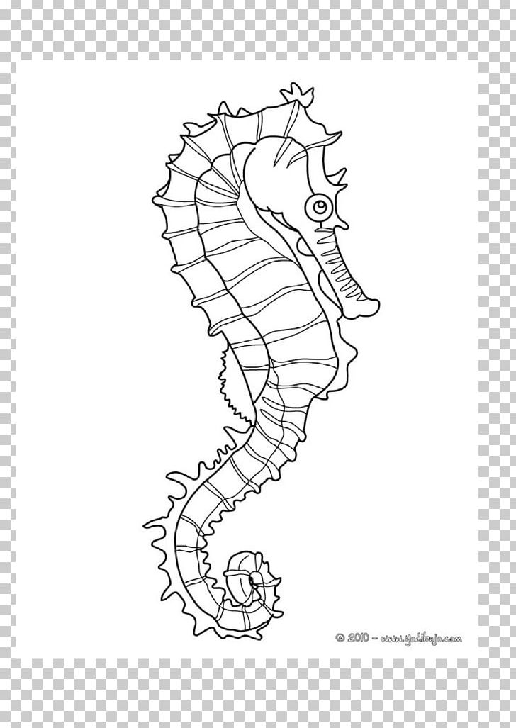 Mister Seahorse Coloring Book Child PNG, Clipart, Adult, Animal, Animals, Area, Art Free PNG Download