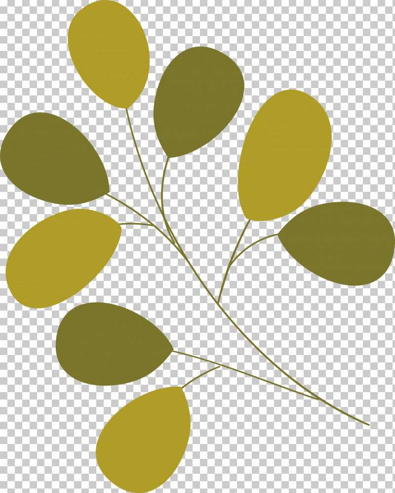 Plant Stem Branch Leaf Yellow Line PNG, Clipart, Biology, Branch, Leaf, Line, Meter Free PNG Download