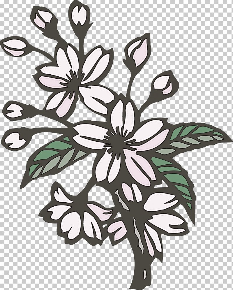 Cherry Flower Floral Flower PNG, Clipart, Blackandwhite, Cherry Flower, Coloring Book, Floral, Floral Design Free PNG Download