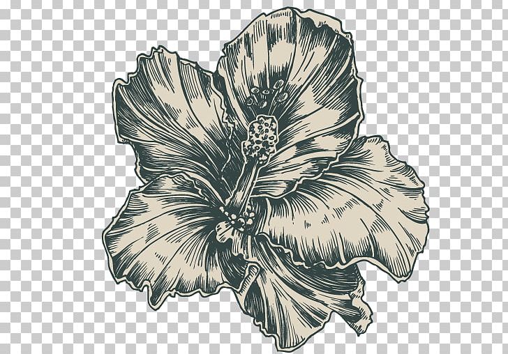 Flower Euclidean Adobe Illustrator PNG, Clipart, Adobe Illustrator, Archive File, Artwork Rose, Black And White, Download Free PNG Download