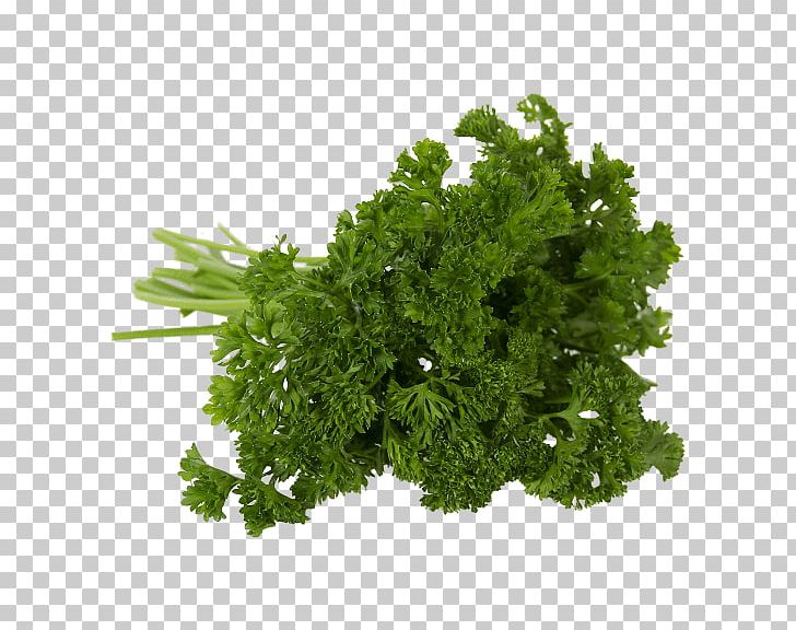 Parsley Frikadeller Meatloaf Persille De Rambouillet Banny Venik PNG, Clipart, Banny Venik, Convenience, Fines Herbes, Frikadeller, Grass Free PNG Download