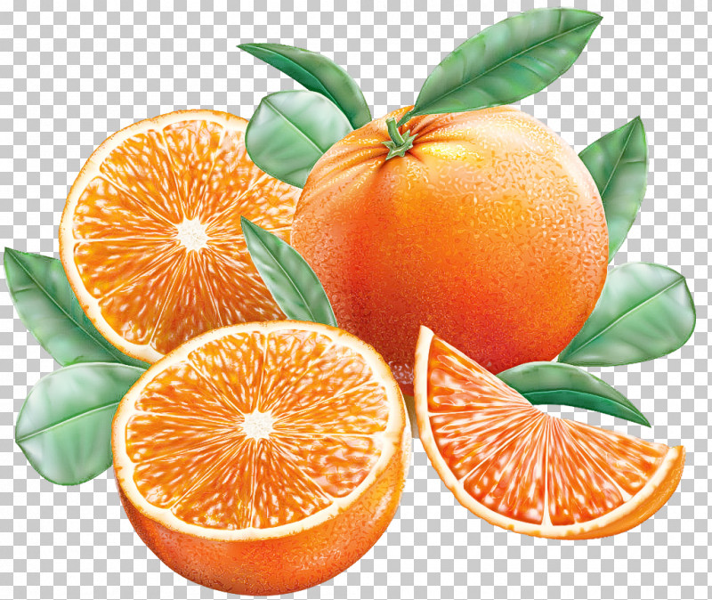 Orange PNG, Clipart, Accessory Fruit, Bitter Orange, Calamondin, Citric Acid, Citrus Free PNG Download