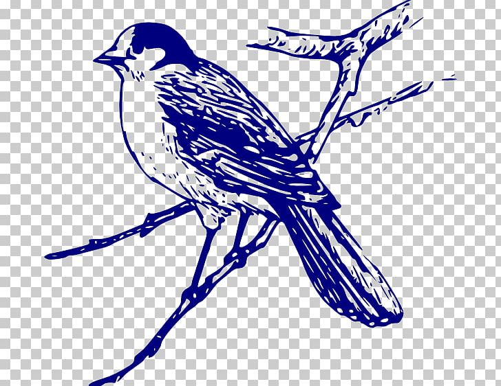 Bluebird PNG, Clipart, Animals, Art, Artwork, Beak, Bird Free PNG Download