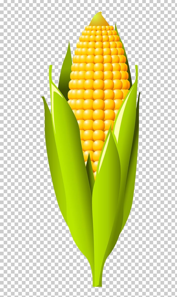 Caudill Seed | Whole Corn Animal Feed - 50 Lb - Bulk