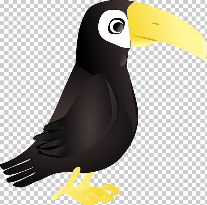 Toucan Snake PNG, Clipart, Animal, Animals, Beak, Bird, Coloring Book Free PNG Download