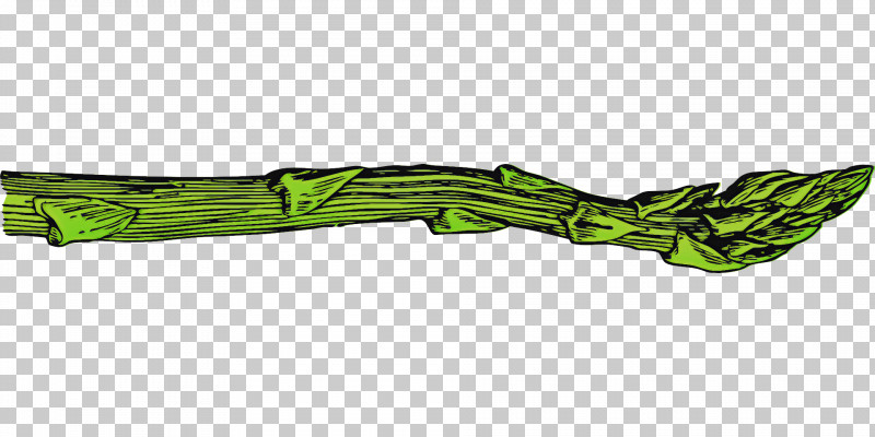 Green Plant Vegetable Asparagus PNG, Clipart, Asparagus, Green, Plant, Vegetable Free PNG Download