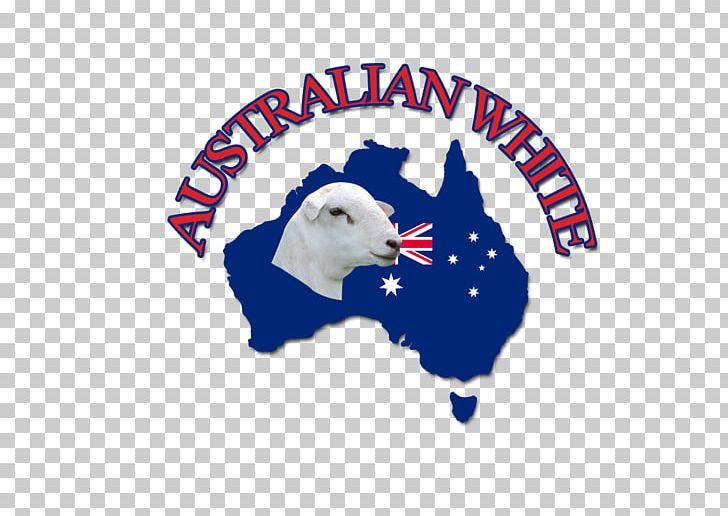 Australian White Sheep Wiltipoll Merino Dorper Breed PNG, Clipart, Animals, Australia, Australian White Sheep, Big Merino, Brand Free PNG Download