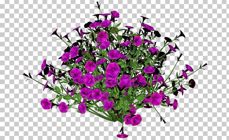 Floral Design Cut Flowers Blume Flower Bouquet PNG, Clipart, Annual Plant, Author, Blume, Blumen, Branch Free PNG Download