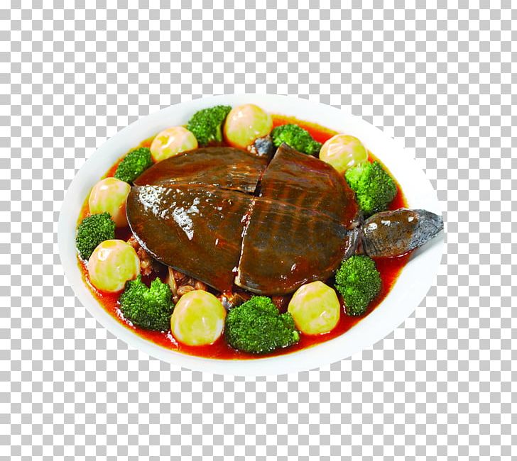 Nutrient Chinese Softshell Turtle Food Nutrition Soup PNG, Clipart, Animals, Braised, Cantors Giant Softshell Turtle, Cuisine, Eating Free PNG Download