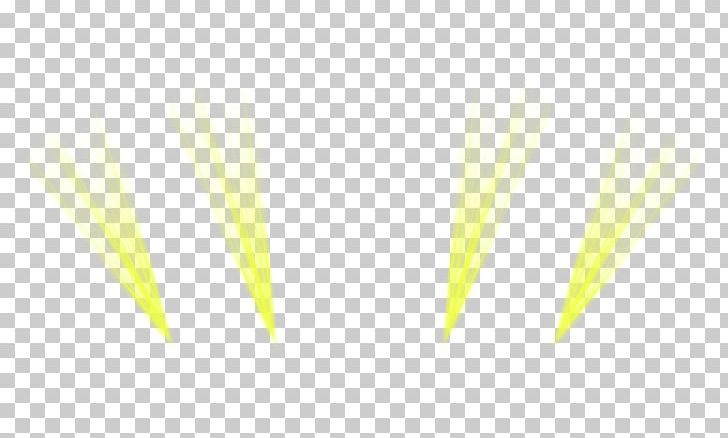 Yellow Angle Font PNG, Clipart, Angle, Christmas Lights, Font, Grass, Holidays Free PNG Download