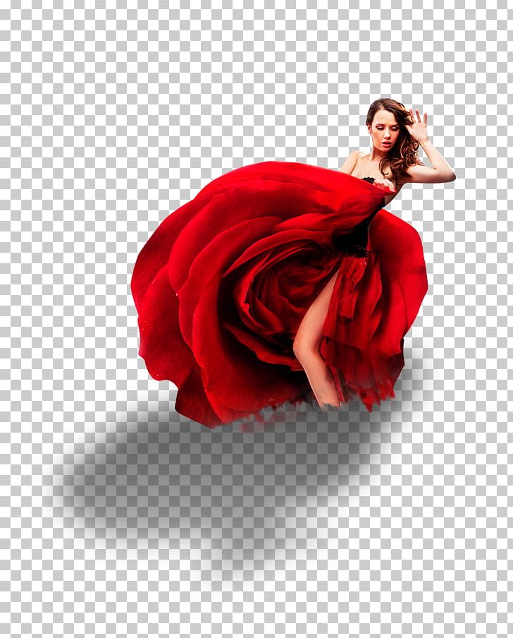 Andalusia Flamenco Dance Art Salsa PNG, Clipart, Beauty, Beauty Salon, Cante Flamenco, Castanets, Christmas Decoration Free PNG Download