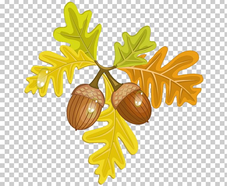 Autumn Acorn PNG, Clipart, Acorn, Art, Autumn, Autumn Leaf Color, Commodity Free PNG Download