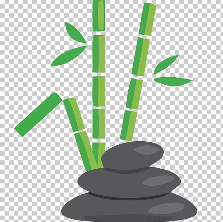 Bamboo Bamboe PNG, Clipart, Encapsulated Postscript, Grass, Hand, Hand Drawn, Handpaint Free PNG Download