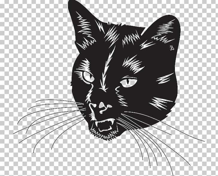 Cat Lion Tiger PNG, Clipart, Animals, Black, Black And White, Black Cat, Carnivoran Free PNG Download