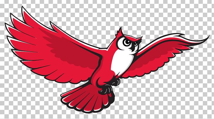 Keene State College Keene State Owls Men's Basketball Keene State Owls Women's Basketball Harford Community College PNG, Clipart,  Free PNG Download