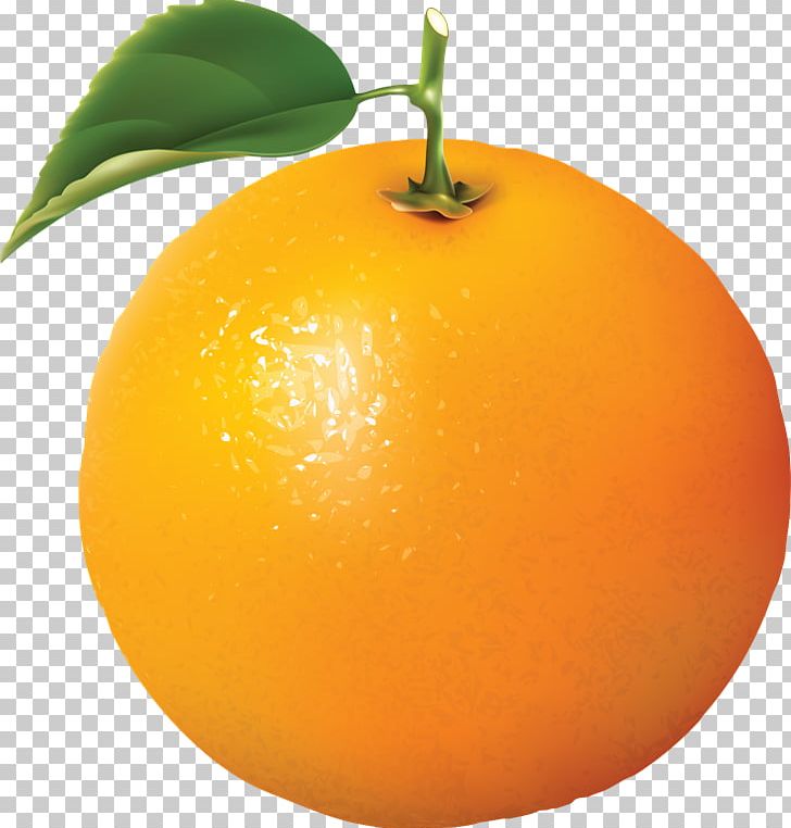 Orange PNG, Clipart, Bitter Orange, Blog, Citric Acid, Citrus, Clementine Free PNG Download