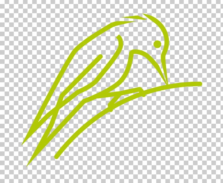 Leaf Grasses Plant Stem PNG, Clipart, Area, Family, Grass, Grasses, Grass Family Free PNG Download