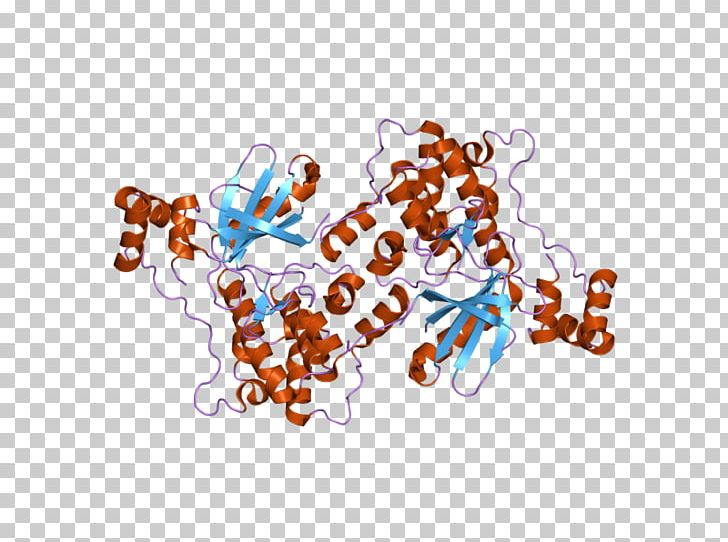 MARK2 Serine/threonine-specific Protein Kinase Serine/threonine-specific Protein Kinase Art PNG, Clipart, Art, Domain, Enzyme, Fth1, Gene Free PNG Download