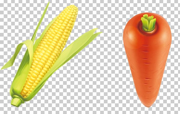 Vegetable PNG, Clipart, Adobe Illustrator, Carrot, Carrot Cartoon, Carrot Juice, Carrots Vector Free PNG Download