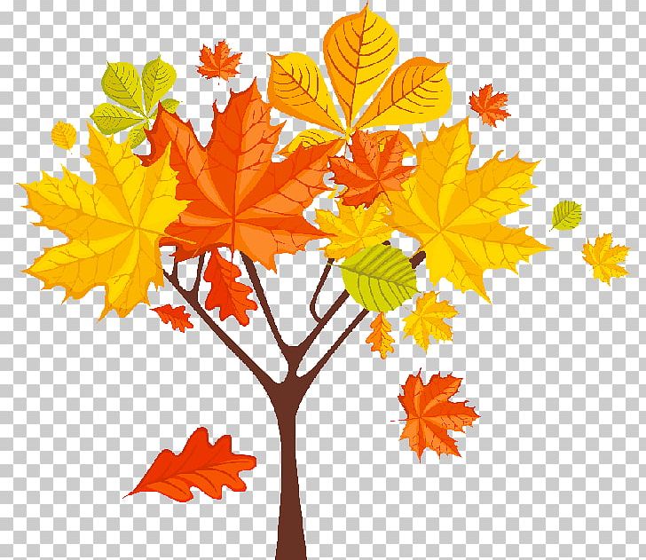 Autumn PNG, Clipart, Autumn, Branch, Cdr, Desktop Wallpaper, Flower Free PNG Download