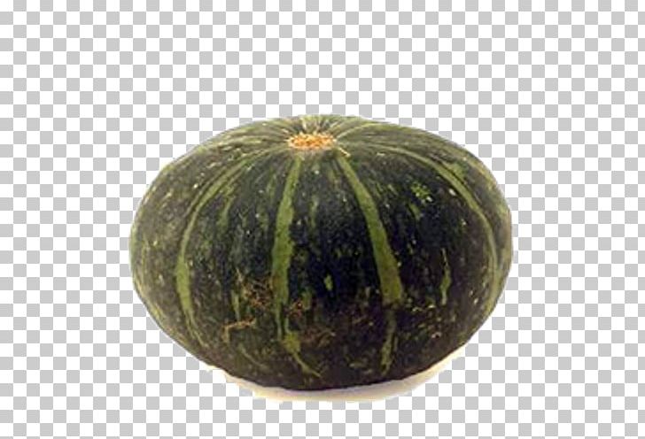 Gourd Customer Review Amazon.com Pillow PNG, Clipart, Amazoncom, Bigbasket, Calabaza, Cucumber Gourd And Melon Family, Cucumis Free PNG Download