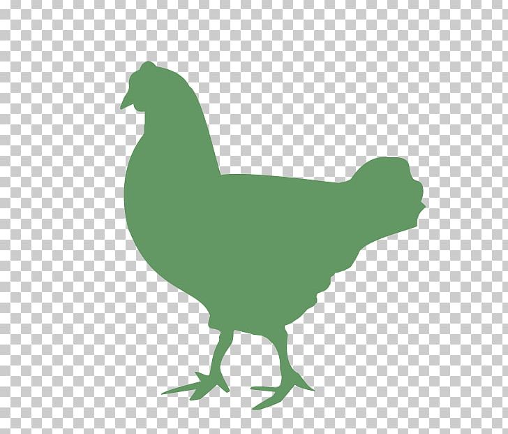 Rooster Chicken Duck Cattle Broiler PNG, Clipart, Animals, Beak, Bird, Broiler, Cattle Free PNG Download
