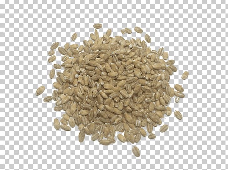 Cereal Breakfast Quinoa Barley Food Grain PNG, Clipart, Amaranth Grain, Barley, Barleycorn, Breakfast, Cereal Free PNG Download