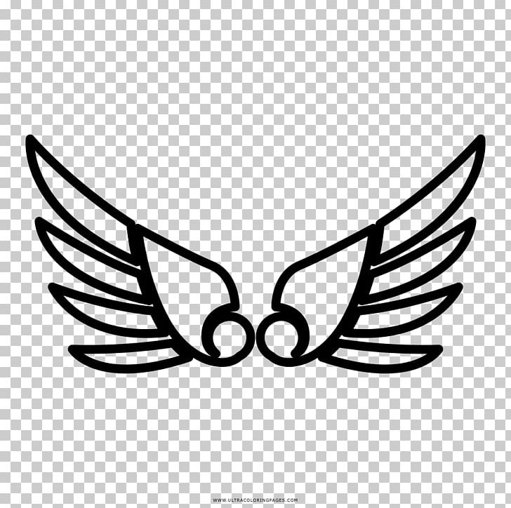 Drawing Black And White Coloring Book PNG, Clipart, Bat, Beak, Bird, Black, Black And White Free PNG Download