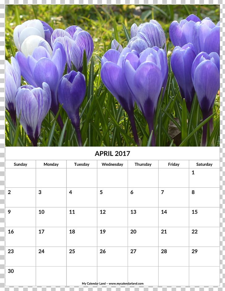 Calendar Mindsoother Therapy Center 0 April March PNG, Clipart, 2016, 2018, April, Calendar, Crocus Free PNG Download