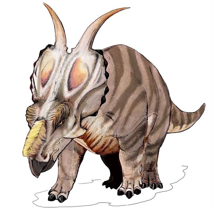 Centrosaurus Einiosaurus Pachyrhinosaurus Styracosaurus Achelousaurus PNG, Clipart, Centrosaurinae, Centrosaurus, Ceratopsia, Ceratopsidae, Claw Free PNG Download