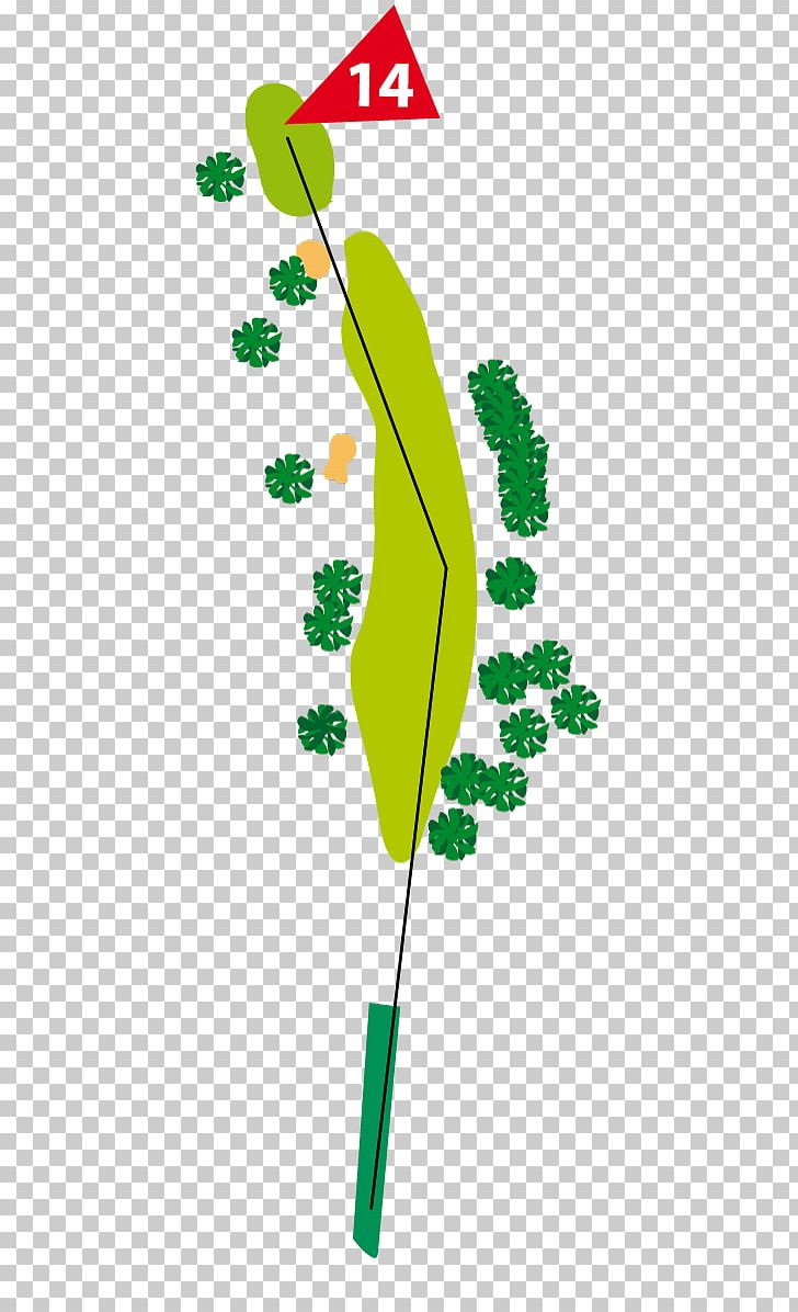 Leaf Illustration Plant Stem Line PNG, Clipart, Artwork, Flora, Grass, Green, Leaf Free PNG Download