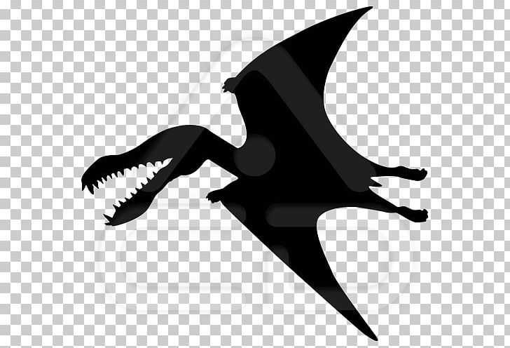 Pterodactyls Kentrosaurus Pterosaurs Triceratops Dinosaur PNG, Clipart, Archaeopteryx, Beak, Black And White, Cretaceous, Dinosaur Free PNG Download