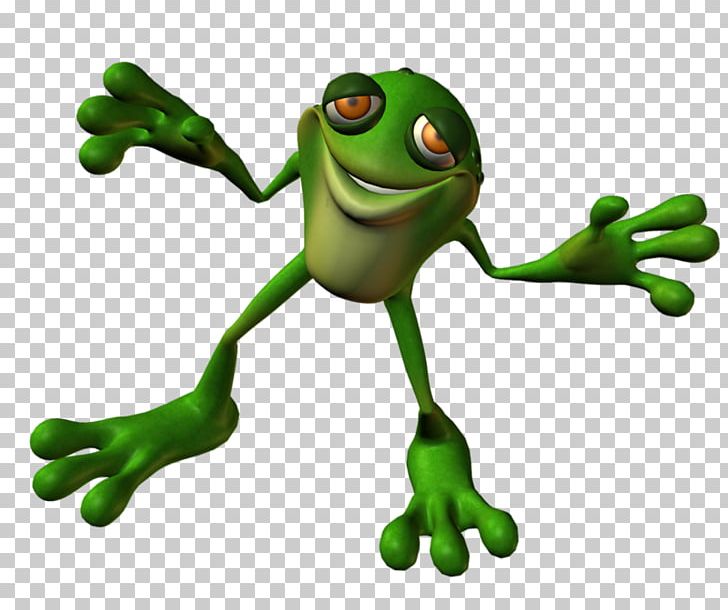 Toad True Frog Tree Frog PNG, Clipart, Amphibian, Animals, C130, Frog, Organism Free PNG Download