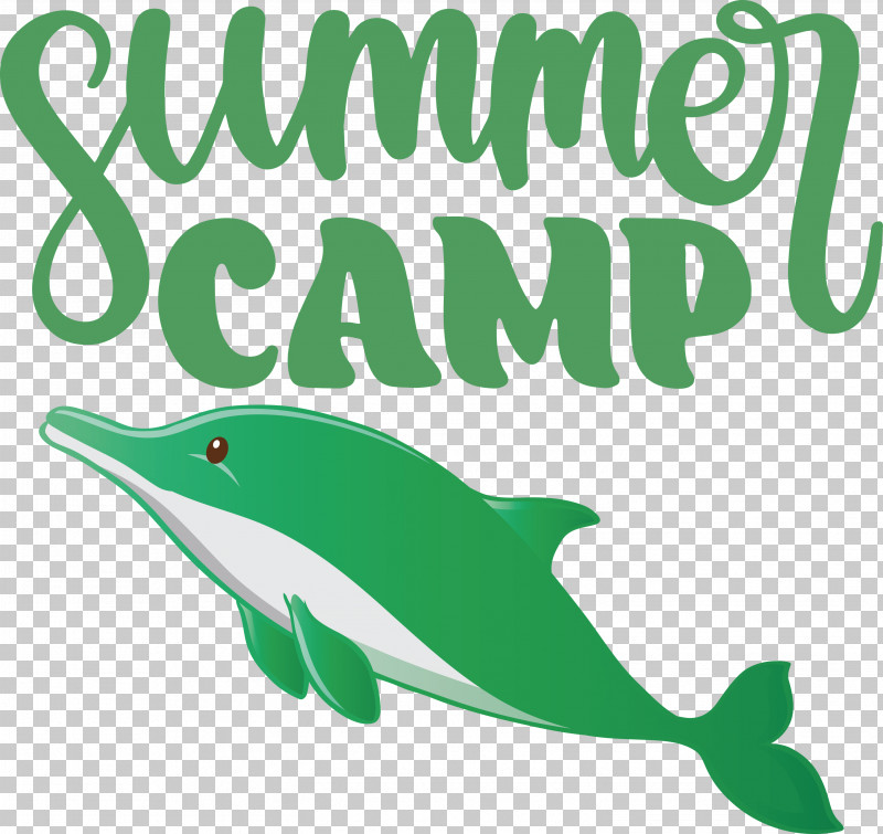 Summer Camp Summer Camp PNG, Clipart, Bottlenose Dolphin, Camp, Cartoon, Cetaceans, Dolphin Free PNG Download
