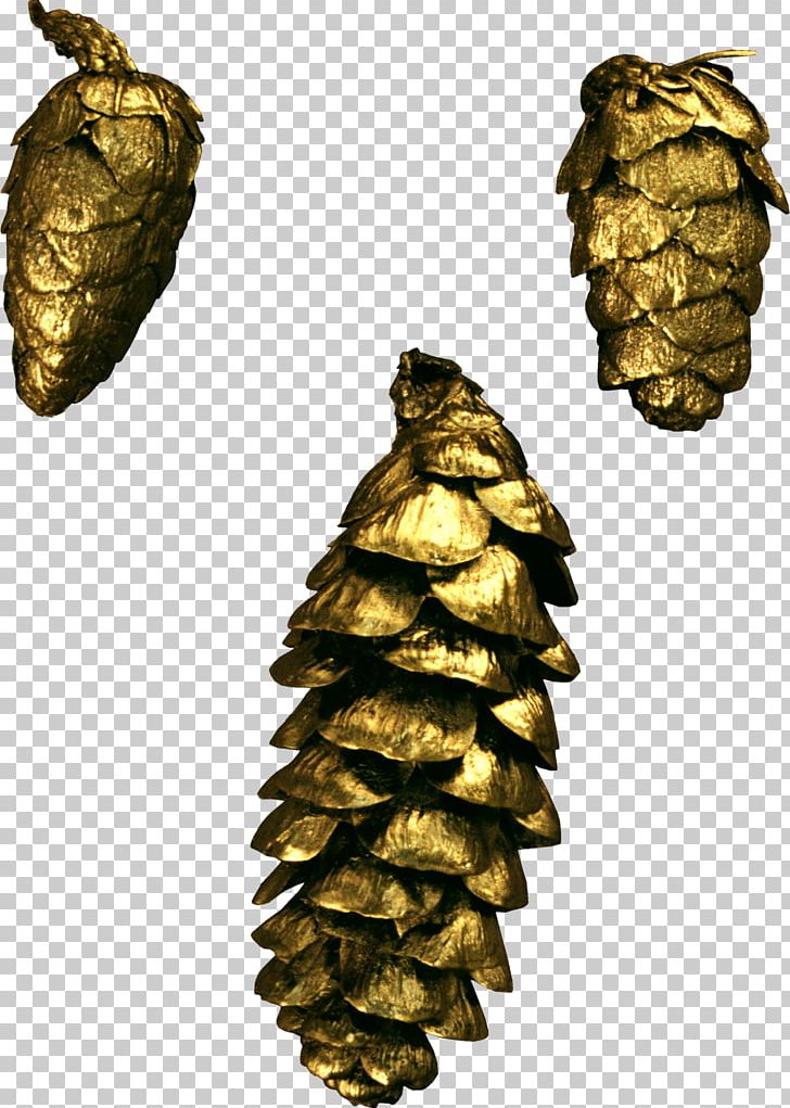 Conifer Cone Pine Conifers Needle PNG, Clipart, Christmas Ornament, Cone, Conifer, Conifer Cone, Conifers Free PNG Download