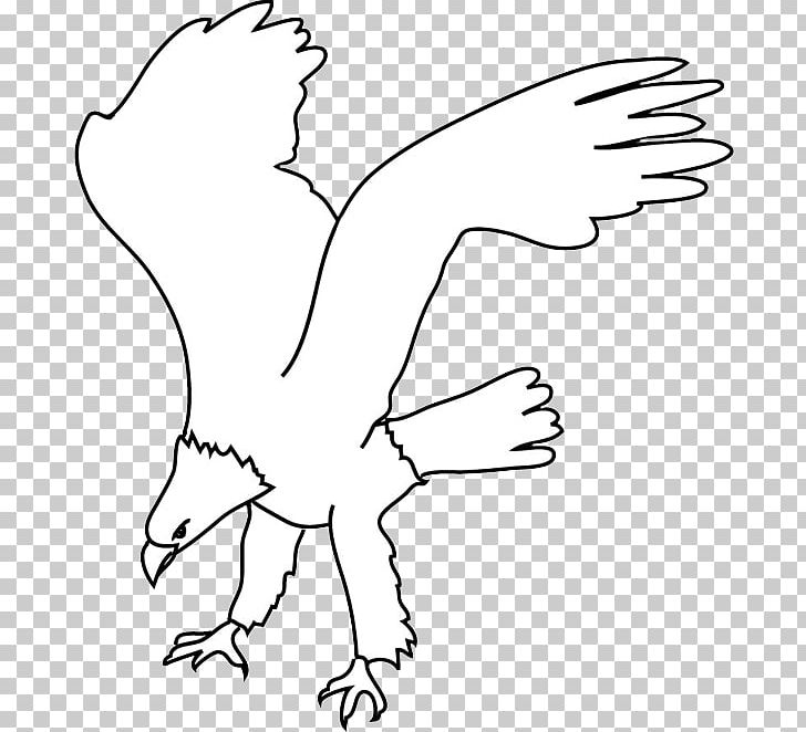 Bald Eagle PNG, Clipart, Angle, Animals, Arm, Art, Artwork Free PNG Download