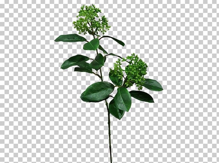 Flowerpot Leaf Plant Stem Herb PNG, Clipart, Branch, Branching, Flower, Flowerpot, Herb Free PNG Download