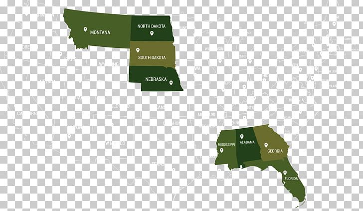 United States Of America Brassica Carinata Caesarean Section Birth U.S. State PNG, Clipart, Birth, Brand, Caesarean Section, Childbirth, Country Free PNG Download