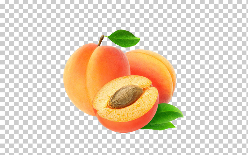 Fruit European Plum Food Apricot Apricot Kernel PNG, Clipart, Apricot, Apricot Kernel, Drupe, European Plum, Food Free PNG Download