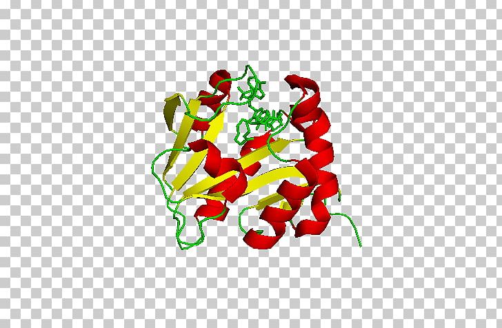 Aralkylamine N-acetyltransferase Choline Acetyltransferase Serotonin PNG, Clipart, Acetyl Group, Acetyltransferase, Aralkylamine Nacetyltransferase, Choline, Common Free PNG Download