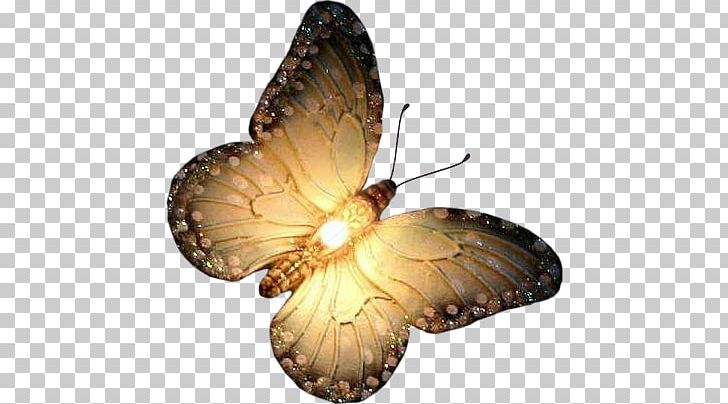 Butterfly Animaatio PNG, Clipart, Ani, Animaatio, Arthropod, Blog, Brush Footed Butterfly Free PNG Download