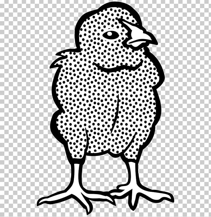 Chicken Computer Icons PNG, Clipart, Animals, Art, Artwork, Beak, Bird Free PNG Download